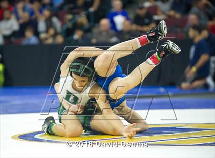 Thumbnail 3 in CIF State Boys Wrestling Championships (Semfinals) photogallery.