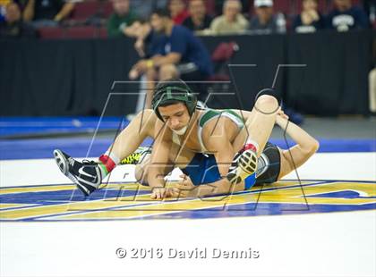 Thumbnail 1 in CIF State Boys Wrestling Championships (Semfinals) photogallery.
