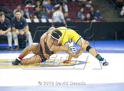 Thumbnail 3 in CIF State Boys Wrestling Championships (Semfinals) photogallery.