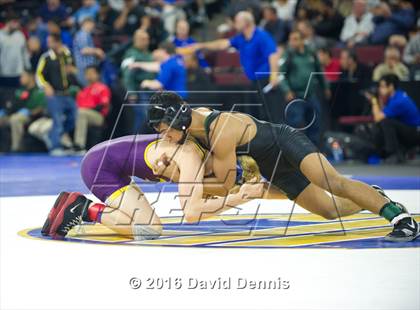 Thumbnail 2 in CIF State Boys Wrestling Championships (Semfinals) photogallery.