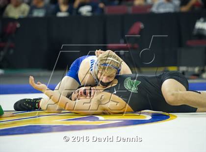 Thumbnail 2 in CIF State Boys Wrestling Championships (Semfinals) photogallery.