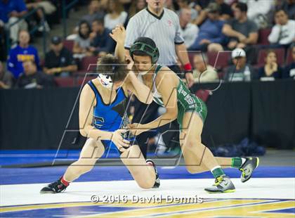 Thumbnail 1 in CIF State Boys Wrestling Championships (Semfinals) photogallery.