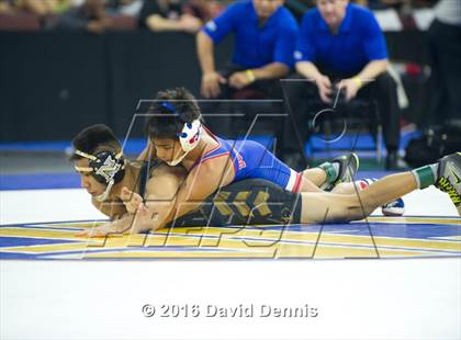 Thumbnail 2 in CIF State Boys Wrestling Championships (Semfinals) photogallery.