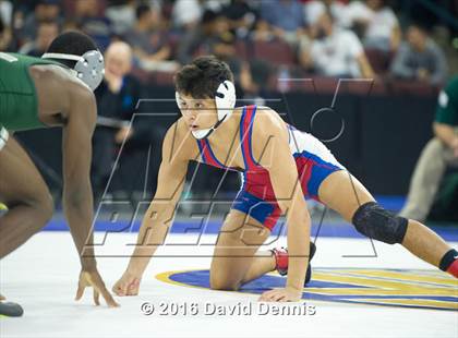 Thumbnail 2 in CIF State Boys Wrestling Championships (Semfinals) photogallery.