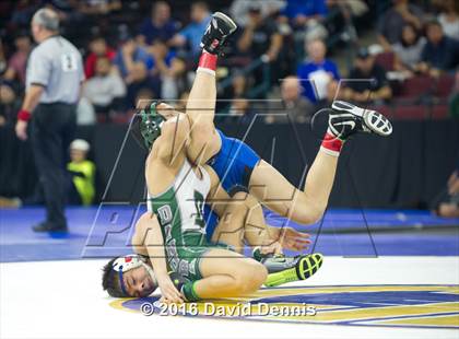 Thumbnail 2 in CIF State Boys Wrestling Championships (Semfinals) photogallery.