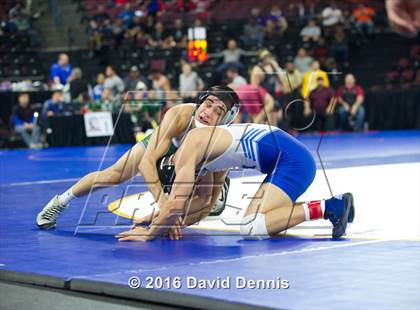Thumbnail 3 in CIF State Boys Wrestling Championships (Semfinals) photogallery.