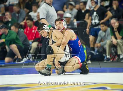 Thumbnail 1 in CIF State Boys Wrestling Championships (Semfinals) photogallery.