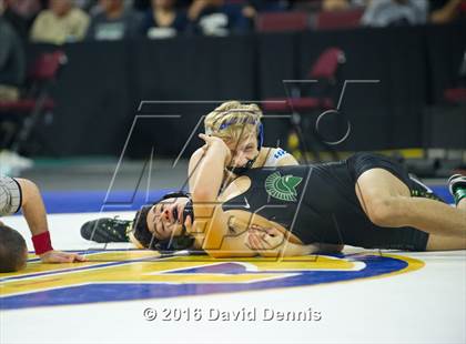 Thumbnail 3 in CIF State Boys Wrestling Championships (Semfinals) photogallery.