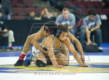 Thumbnail 2 in CIF State Boys Wrestling Championships (Semfinals) photogallery.