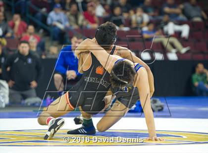 Thumbnail 1 in CIF State Boys Wrestling Championships (Semfinals) photogallery.