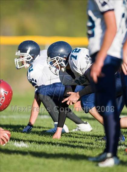 Thumbnail 1 in White Pine @ Layton Christian Academy photogallery.