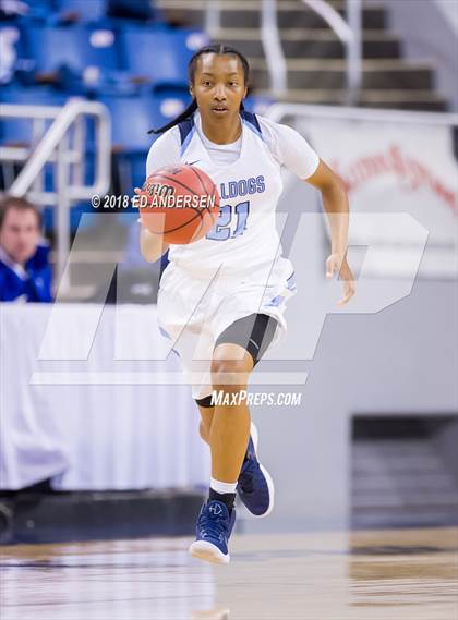 Thumbnail 2 in  Liberty vs. Centennial (NIAA 4A Final) photogallery.