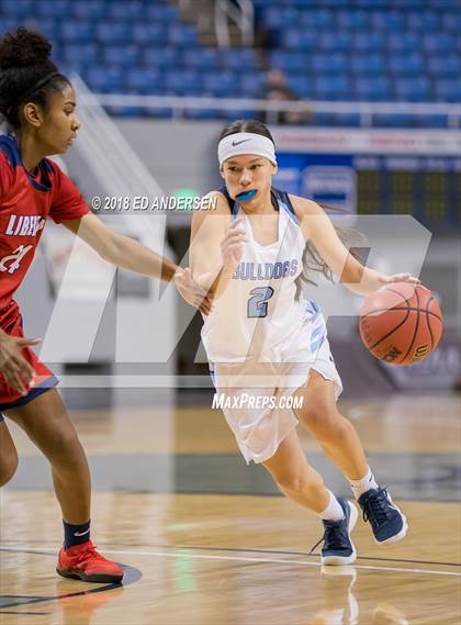 Thumbnail 1 in  Liberty vs. Centennial (NIAA 4A Final) photogallery.