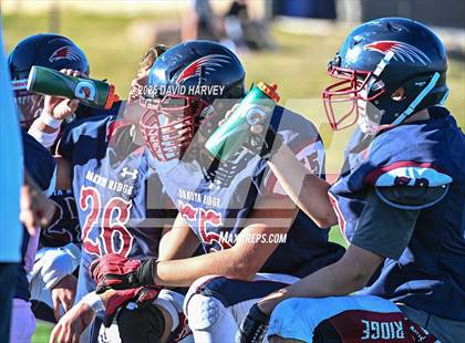 Thumbnail 1 in FR: Golden @ Dakota Ridge photogallery.