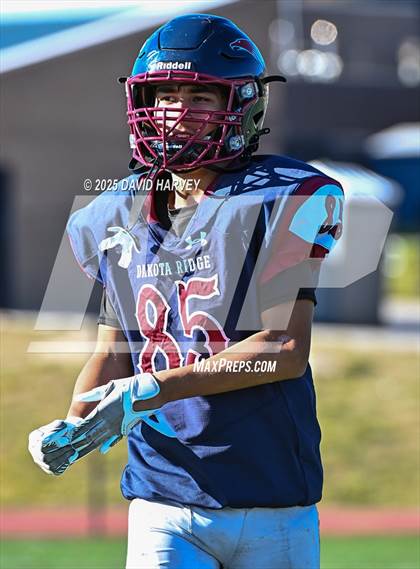 Thumbnail 3 in FR: Golden @ Dakota Ridge photogallery.