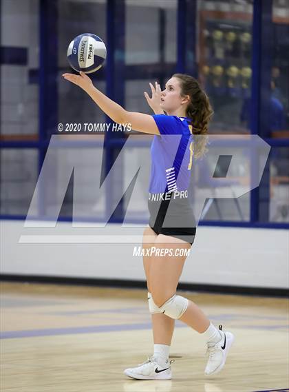 Thumbnail 3 in Brock @ Peaster photogallery.
