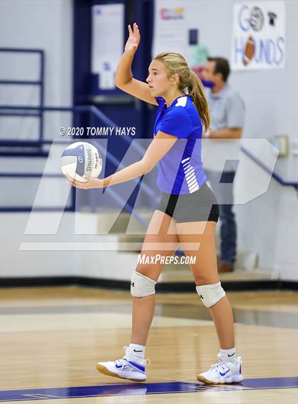 Thumbnail 3 in Brock @ Peaster photogallery.