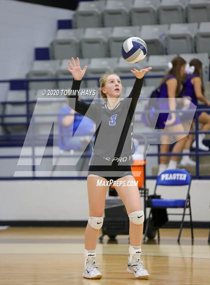 Thumbnail 1 in Brock @ Peaster photogallery.