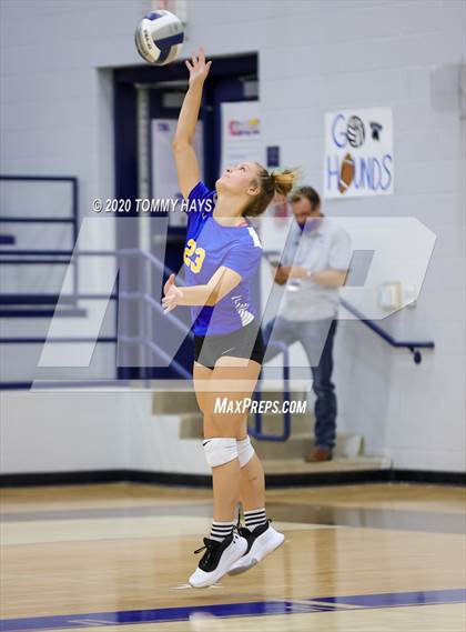 Thumbnail 2 in Brock @ Peaster photogallery.