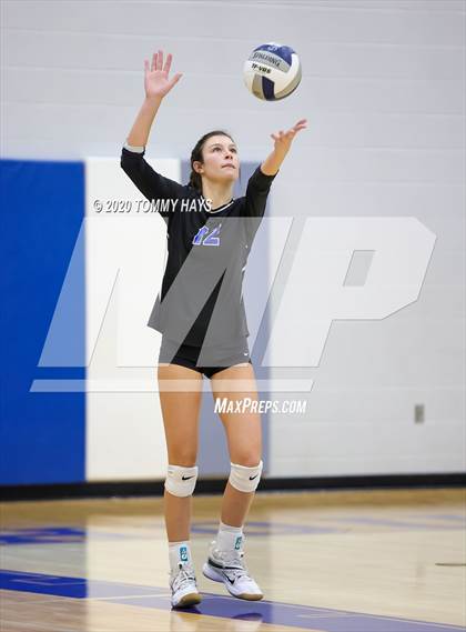 Thumbnail 1 in Brock @ Peaster photogallery.
