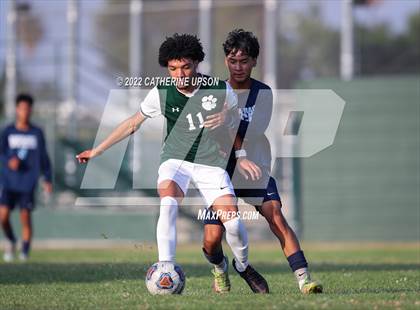 Thumbnail 2 in Ramona @ Poly (Scrimmage) photogallery.