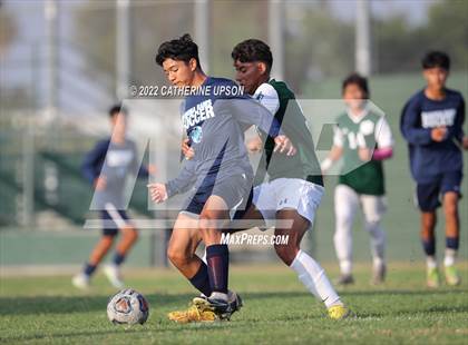 Thumbnail 3 in Ramona @ Poly (Scrimmage) photogallery.