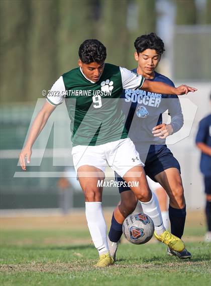 Thumbnail 2 in Ramona @ Poly (Scrimmage) photogallery.