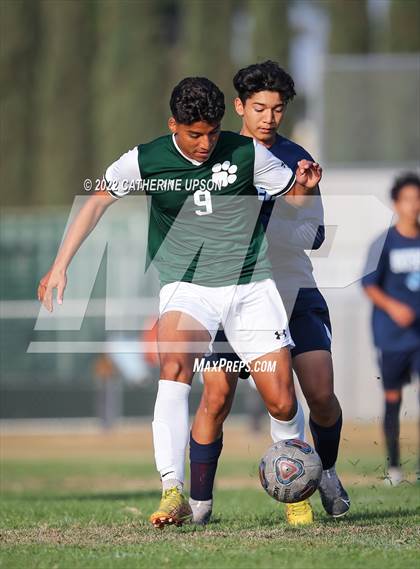 Thumbnail 1 in Ramona @ Poly (Scrimmage) photogallery.