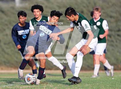 Thumbnail 1 in Ramona @ Poly (Scrimmage) photogallery.