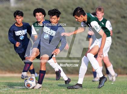 Thumbnail 3 in Ramona @ Poly (Scrimmage) photogallery.