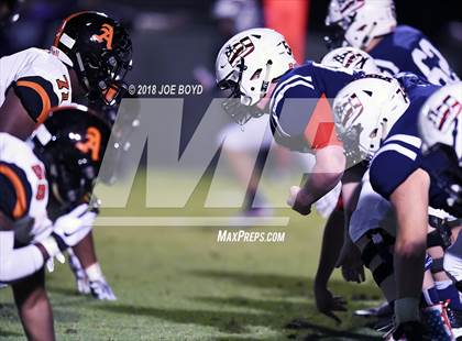 Thumbnail 2 in Austin @ Bob Jones photogallery.