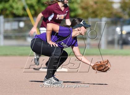Thumbnail 1 in Piner @ Petaluma photogallery.