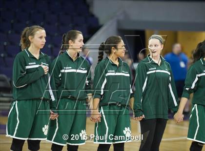 Thumbnail 3 in Horizon vs Liberty (AIA Division 1 Quarterfinal) photogallery.