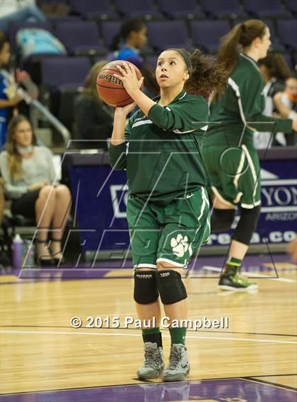 Thumbnail 3 in Horizon vs Liberty (AIA Division 1 Quarterfinal) photogallery.