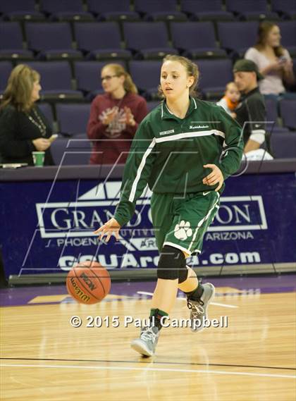 Thumbnail 3 in Horizon vs Liberty (AIA Division 1 Quarterfinal) photogallery.