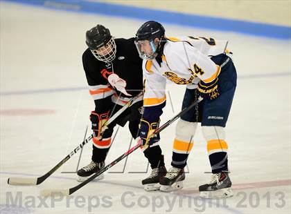 Thumbnail 3 in Stamford @ East Haven photogallery.