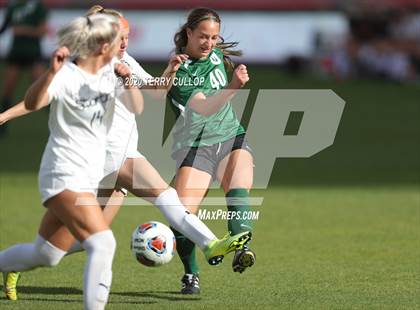 Thumbnail 1 in Murray vs. Olympus (UHSAA 5A Semifinal) photogallery.