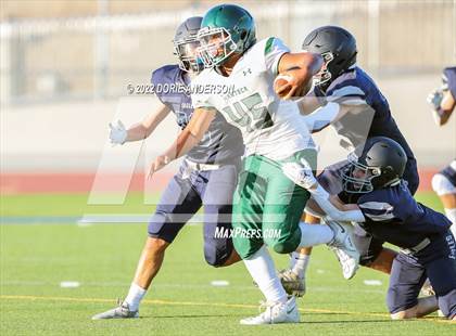 Thumbnail 3 in Manteca @ Vista del Lago photogallery.