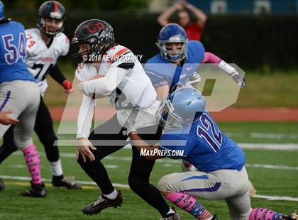 Thumbnail 2 in Cromwell/Portland @ Old Saybrook-Westbrook photogallery.
