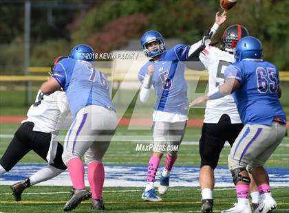 Thumbnail 2 in Cromwell/Portland @ Old Saybrook-Westbrook photogallery.