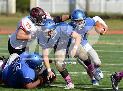 Thumbnail 2 in Cromwell/Portland @ Old Saybrook-Westbrook photogallery.