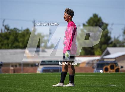 Thumbnail 1 in Portales @ Alamogordo photogallery.