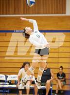 Photo from the gallery "Acalanes @ Miramonte"