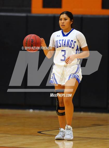 Thumbnail 1 in Coconino vs. Dobson (Scorpion Shootout 2019) photogallery.