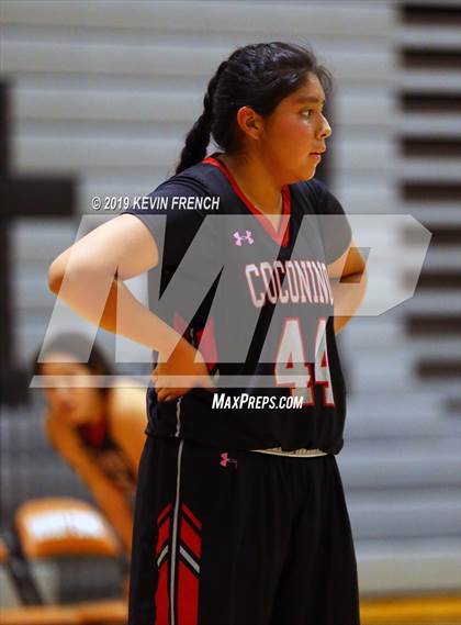 Thumbnail 1 in Coconino vs. Dobson (Scorpion Shootout 2019) photogallery.