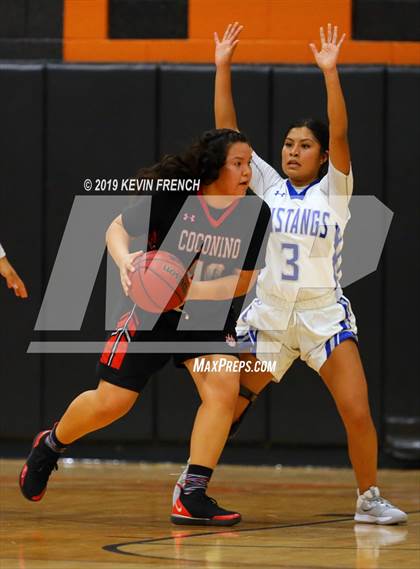 Thumbnail 1 in Coconino vs. Dobson (Scorpion Shootout 2019) photogallery.