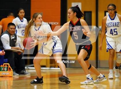 Thumbnail 3 in Coconino vs. Dobson (Scorpion Shootout 2019) photogallery.