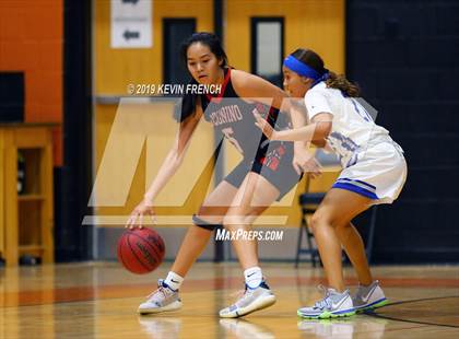 Thumbnail 1 in Coconino vs. Dobson (Scorpion Shootout 2019) photogallery.