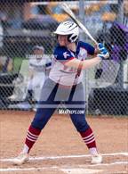 Photo from the gallery "Seaman @ Piper"