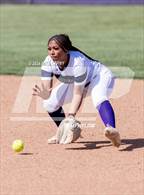 Photo from the gallery "Seaman @ Piper"